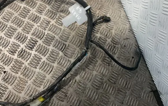 Front door wiring loom