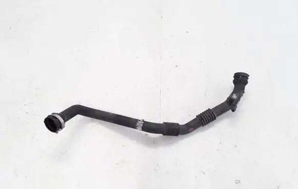 Renault Kangoo II Intercooler hose/pipe 8200874705