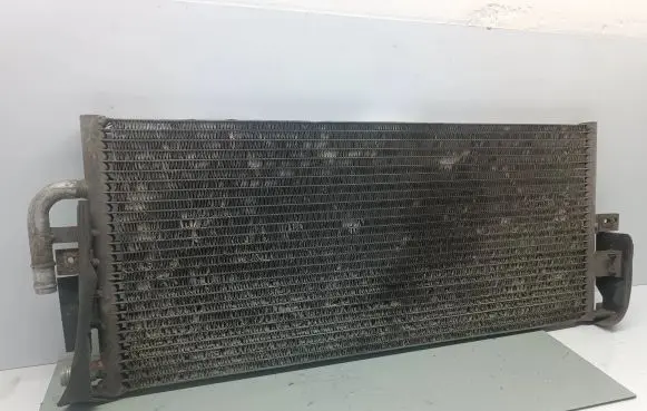Mercedes-Benz S W220 Coolant radiator A2205001503 12526976 2205001503