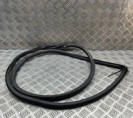 Lexus RX V Rubber seal rear door 6233248110