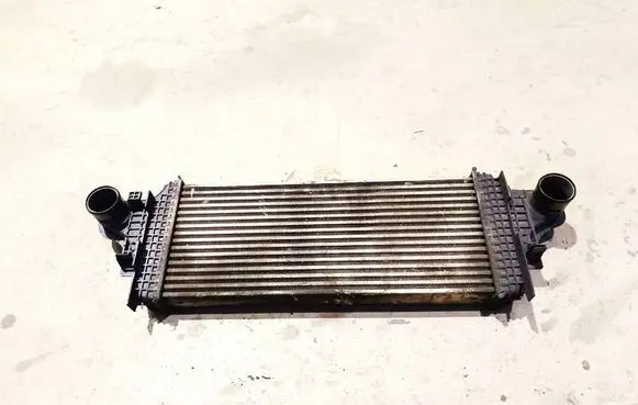 Mercedes-Benz R W251 Intercooler radiator A1645001900