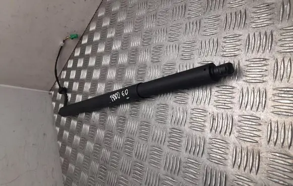 Opel Grandland X Tailgate/trunk/boot tension spring 9848244380