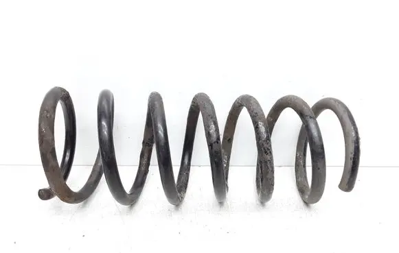 Rear coil spring