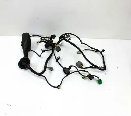 Chevrolet Camaro Front door wiring loom 84198524