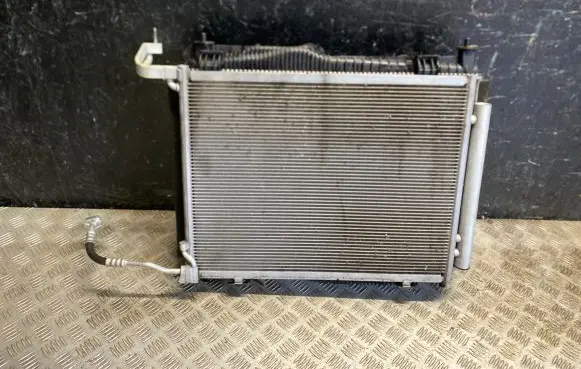 Ford Puma Coolant radiator LBG18C607AA