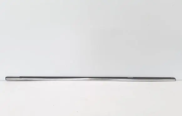 Renault Latitude (L70) Rear door trim (molding) 828210169R