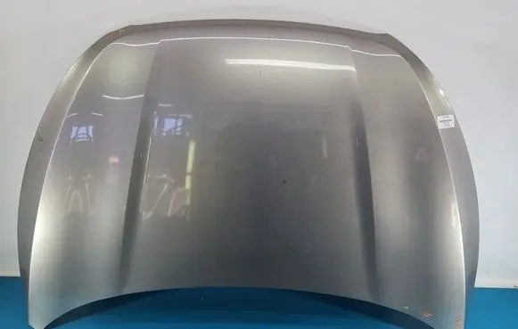 Engine bonnet/hood