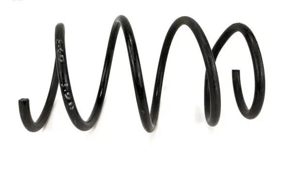 BMW 5 E60 E61 Front coil spring