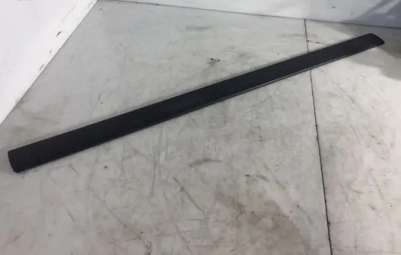 Front door trim (molding)