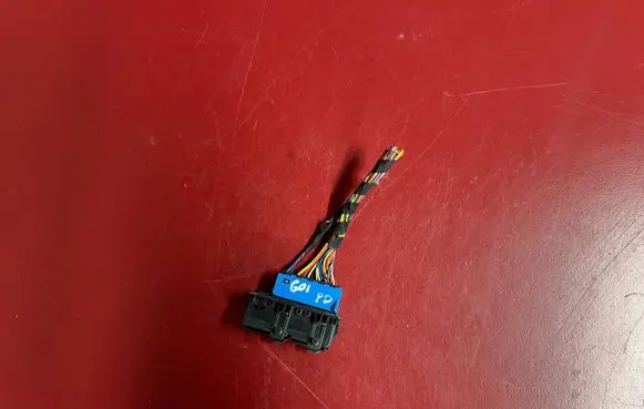 BMW X3 G01 Front door wiring loom 9221027