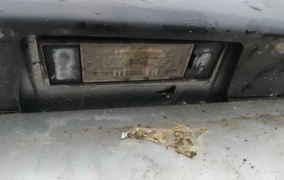 Citroen C4 I Number plate light