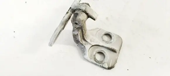 Land Rover Discovery Sport Rear door lower hinge