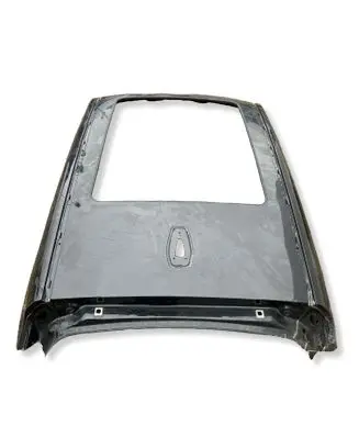 BMW X1 U11 Roof 