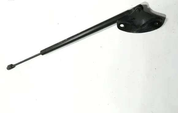 Dodge Nitro Tailgate/trunk strut/damper
