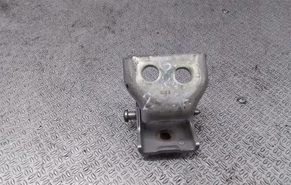 Citroen C4 I Rear door lower hinge