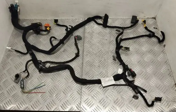 Maserati Quattroporte Other wiring loom 670006101