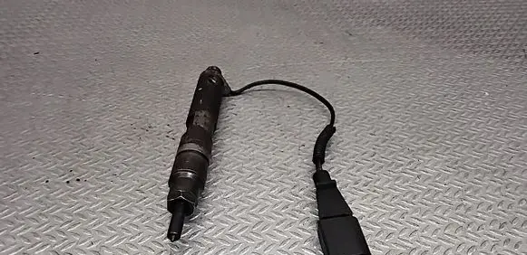Seat Leon (1M) Fuel injector 038130202E