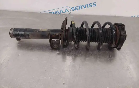 Volkswagen PASSAT B7 Front shock absorber/damper 3C0413031N VW461ZFV169