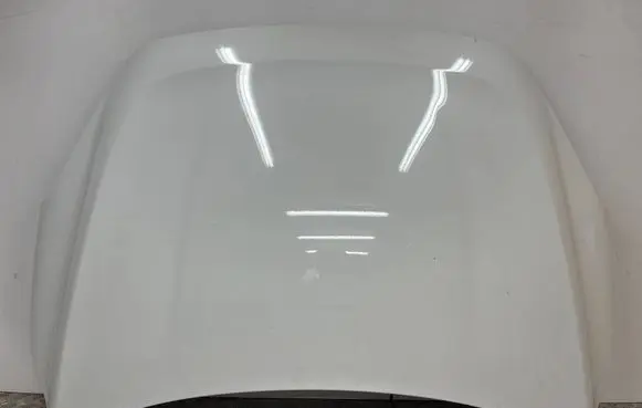 Engine bonnet/hood