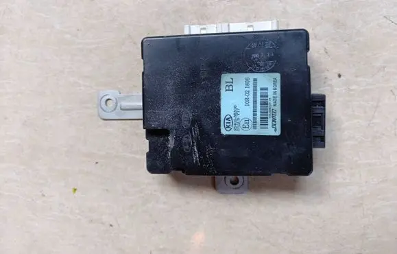 KIA Sorento Other control units/modules 954003e310