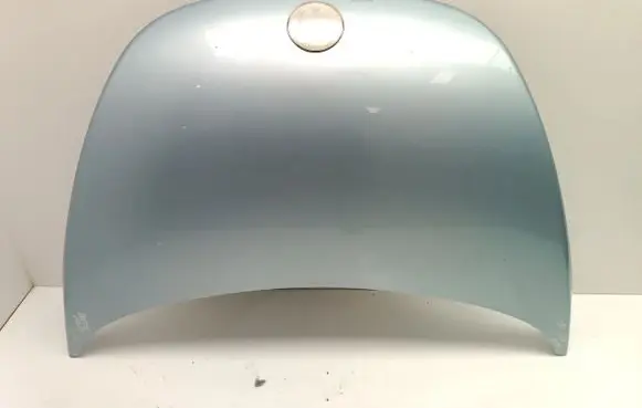 Engine bonnet/hood