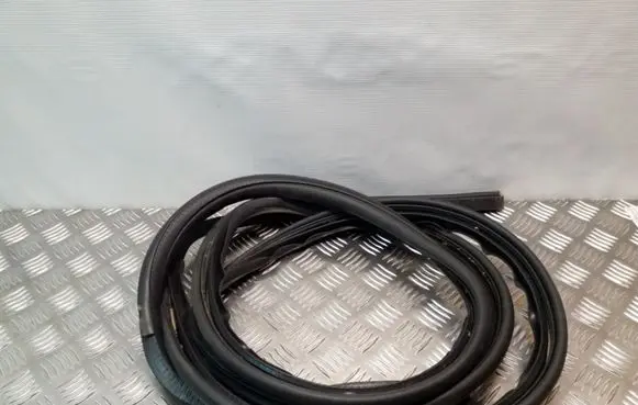 Chrysler Grand Voyager IV Sliding door rubber seal 