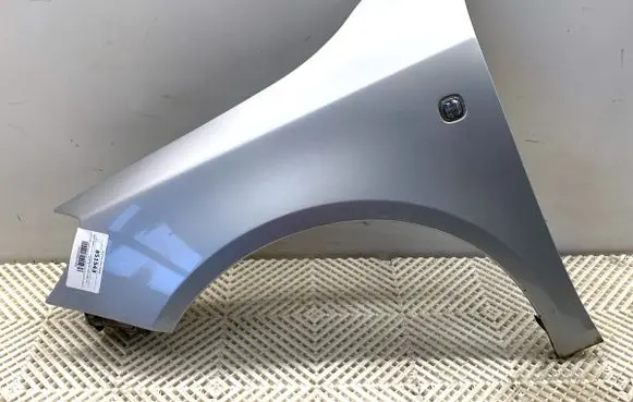 Skoda Roomster (5J) Fender 