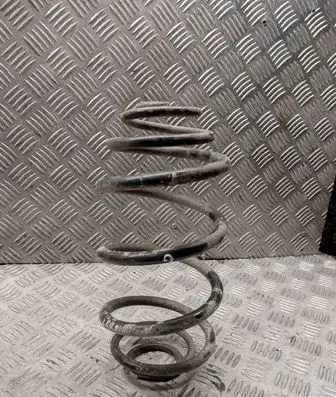 Rear coil spring