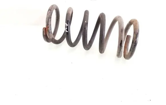 Hyundai Santa Fe Rear coil spring