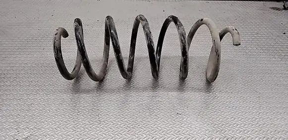 Front coil spring