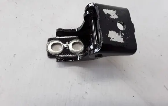 Renault Captur Front door lower hinge 804200003R