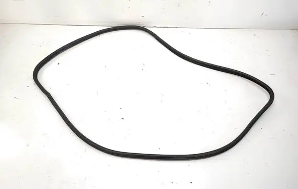 BMW X5 E70 Front door rubber seal 7207221