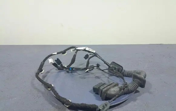 Dacia Sandero Other wiring loom 241256142R