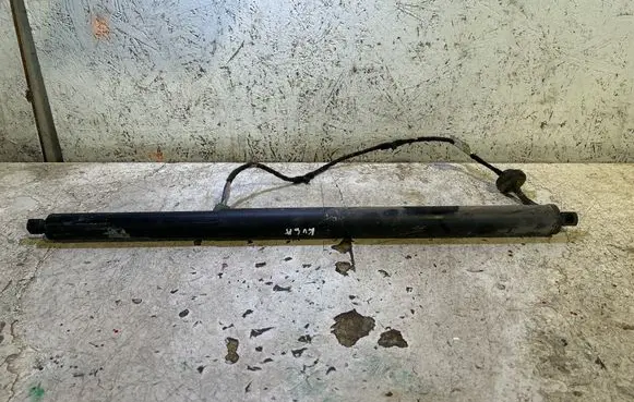 Tailgate/trunk strut/damper