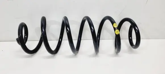 Rear coil spring