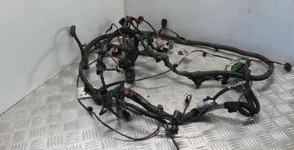 Chrysler Grand Voyager V Other wiring loom P04868759AG
