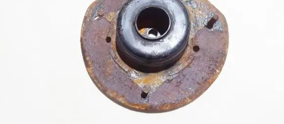 Coil spring mount