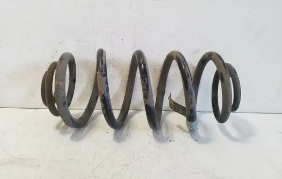 Opel Ampera Rear coil spring