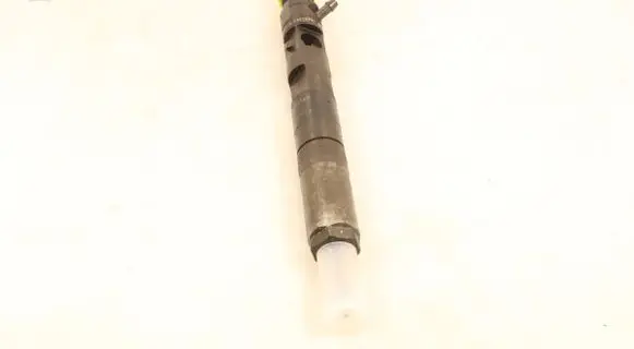 Renault Megane II Fuel injector EJBR01801Z