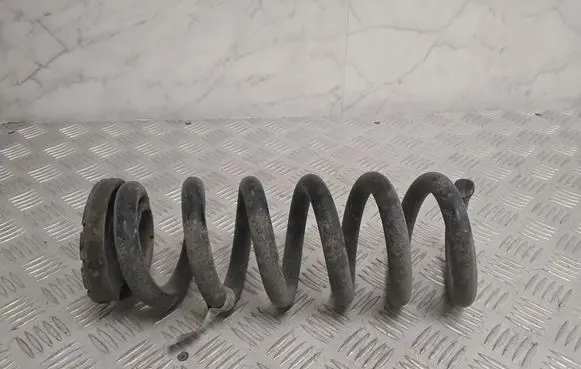 Ford Mach-E I Rear coil spring LJ9C5560ANE