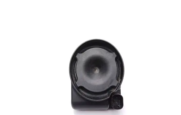 Alarm system siren