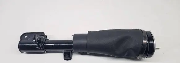 Land Rover Range Rover L322 Air suspension front shock absorber 3497672 F2310245 F2310247