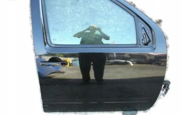 Nissan Pathfinder R51 Front door