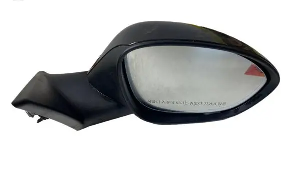 BMW Z4 E89 Front door electric wing mirror 7195313 A046412 E1021031