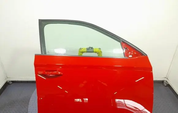 Skoda Fabia Mk3 (NJ) Front door 
