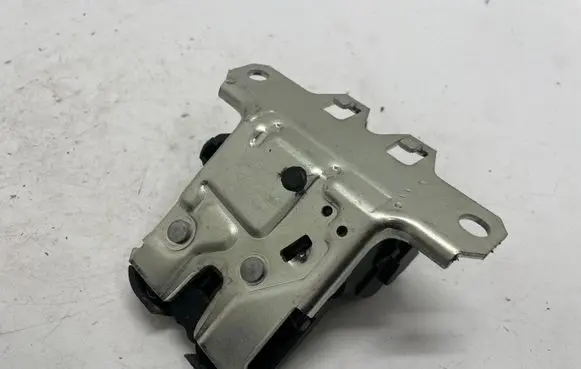 Opel Insignia A Tailgate/trunk/boot lock/catch/latch 20969620