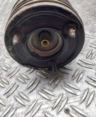 Rear shock absorber/damper