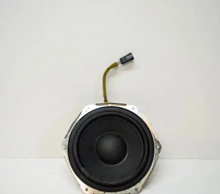 Tesla Model S Subwoofer speaker 100483307A