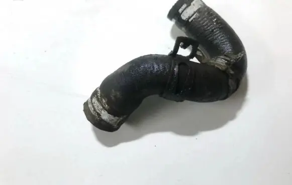 Honda Accord Engine coolant pipe/hose