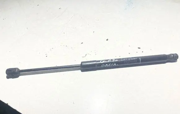 Dacia Duster Tailgate/trunk strut/damper 904520004r